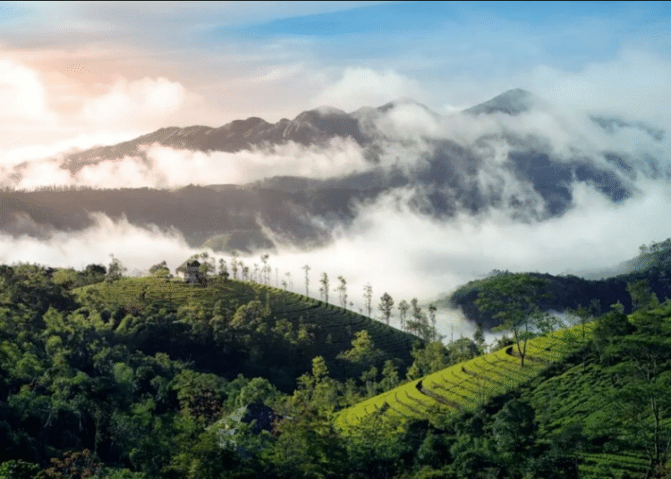 Puncak Bogor Masuk Tiga Besar Destinasi Pedesaan Terbaik di Asia Versi Agoda