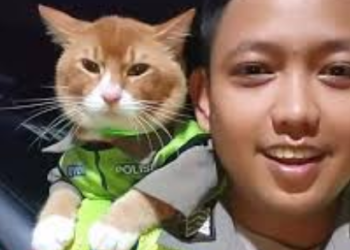 Poyici Oyen Curi Perhatian di Jalur Puncak, Simbol Pendekatan Humanis Polisi